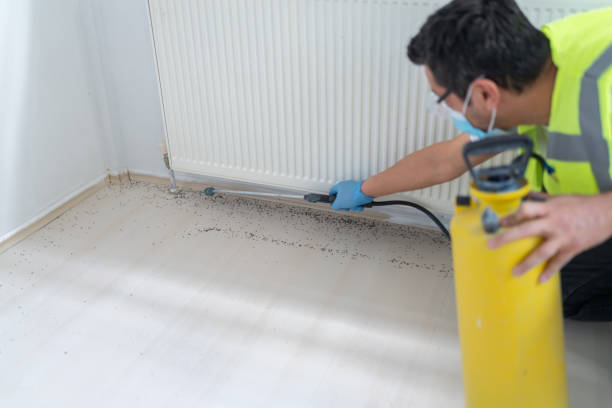 Wasp Removal Services in Vevay, IN