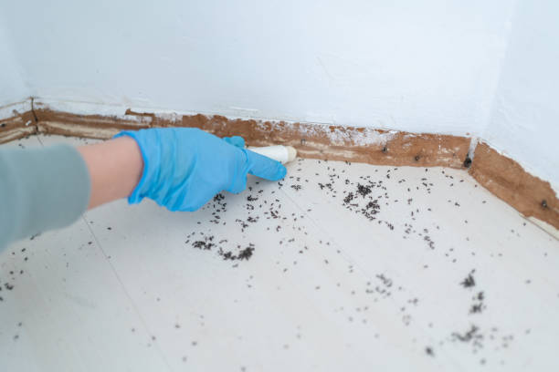 Professional Pest Control in Vevay, IN