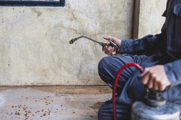 Pest Prevention Services in Vevay, IN